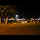 Auf dem Night-Market wird gegessen